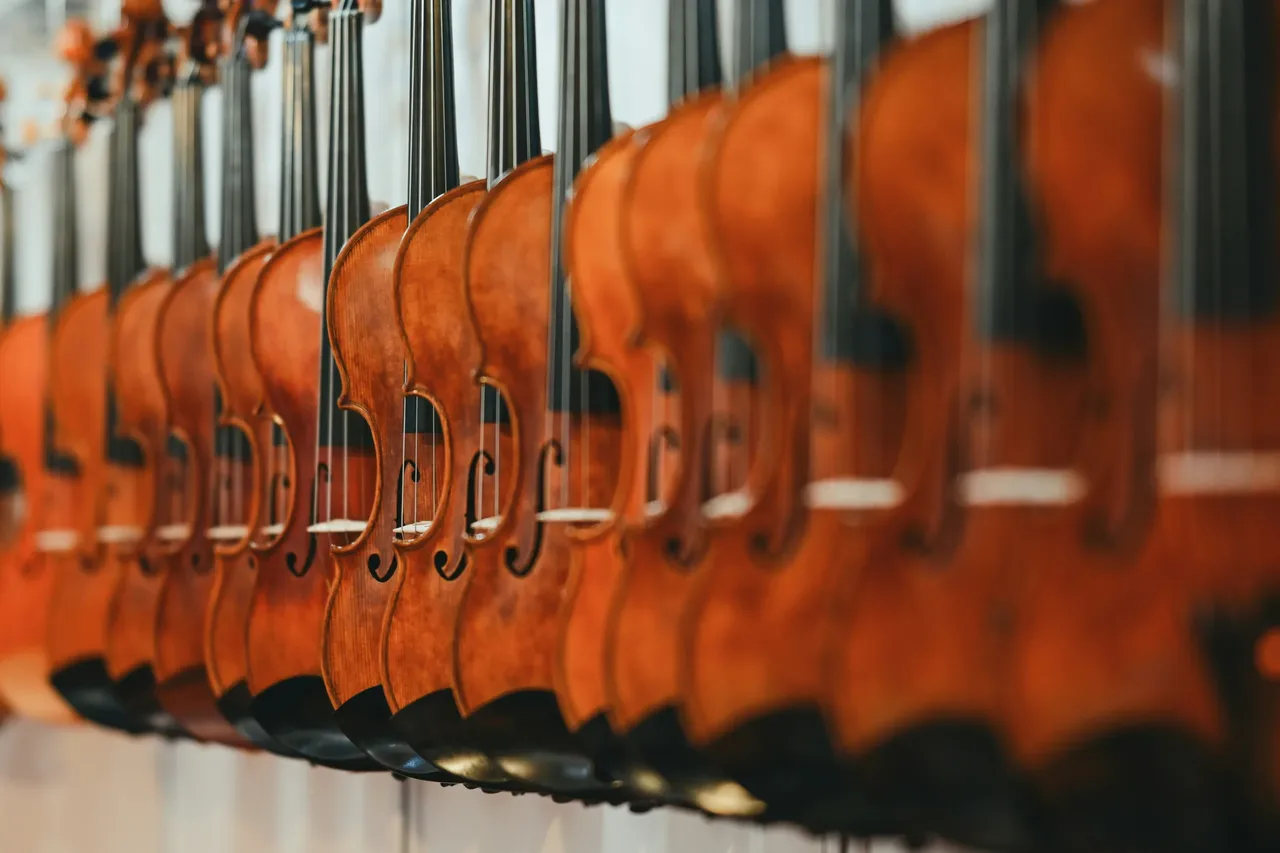 Mur de violons et d’altos accrochés dans le magasin Azzato