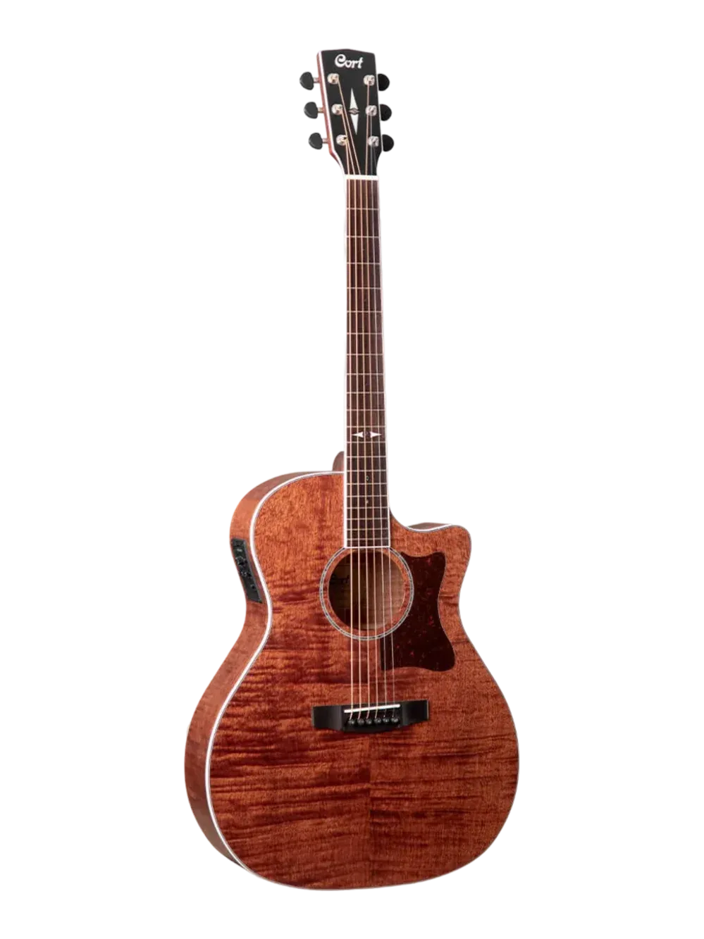 Guitare folk Cort GA5F-FMH, table acajou flammé massif, finition Pore ouvert