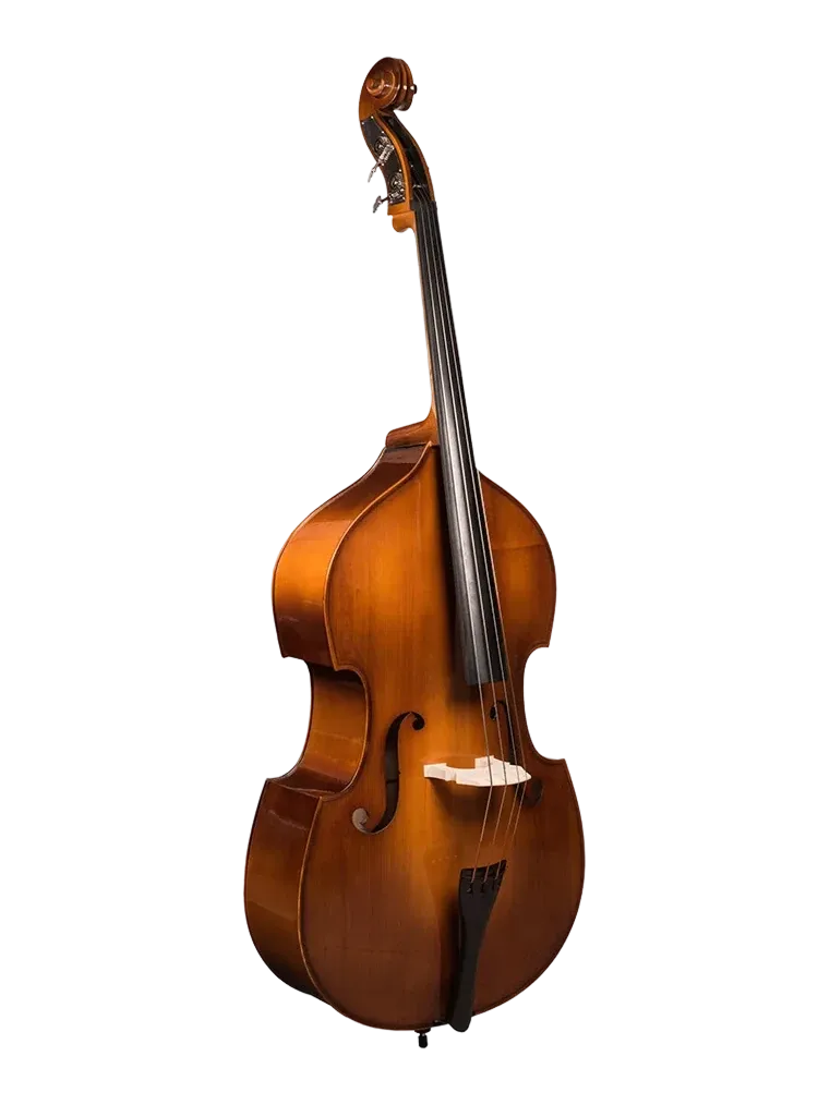 Photo of the Hora Student Flat back B100 3/4 double bass