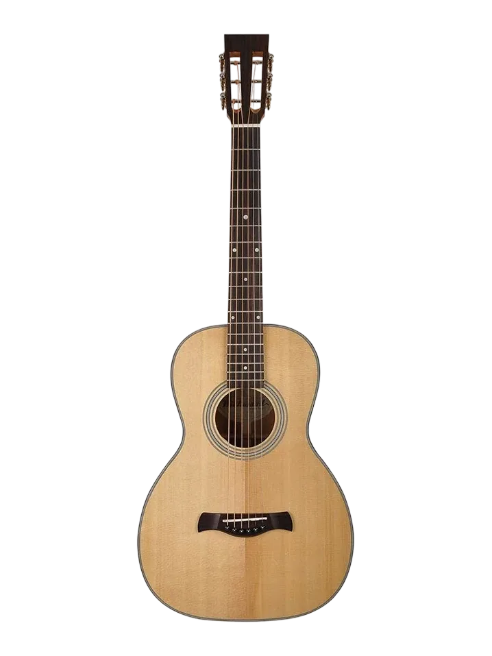Photo de la guitare folk Richwood P-40