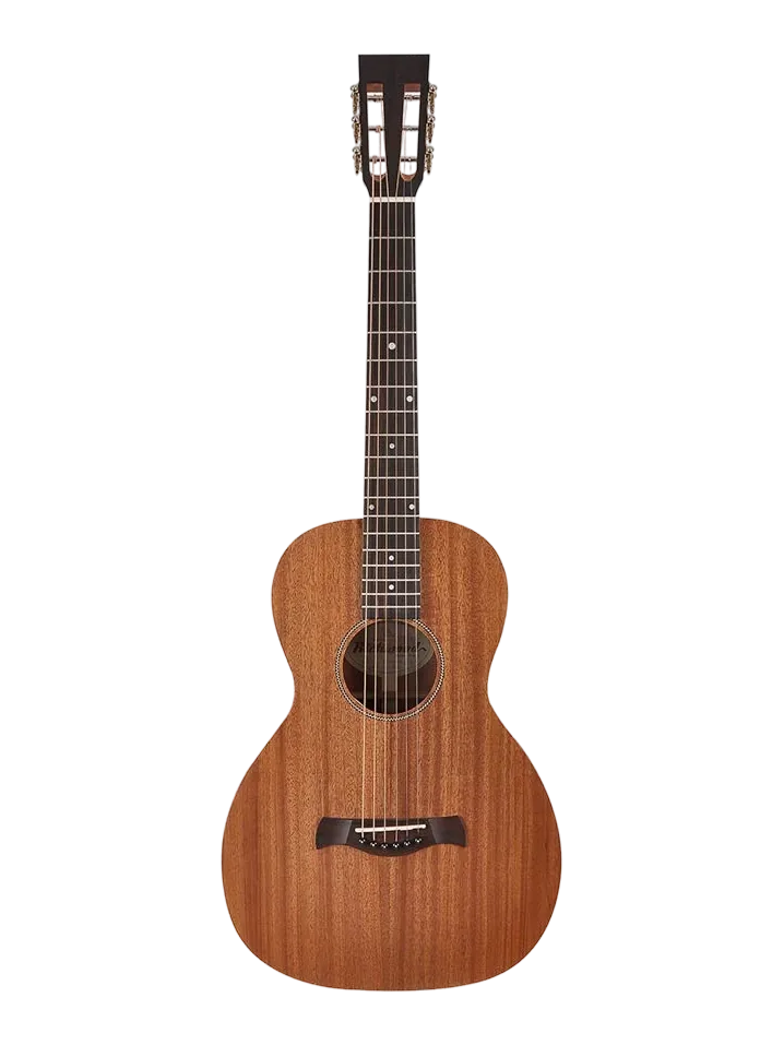 Photo de la guitare folk Richwood P-50