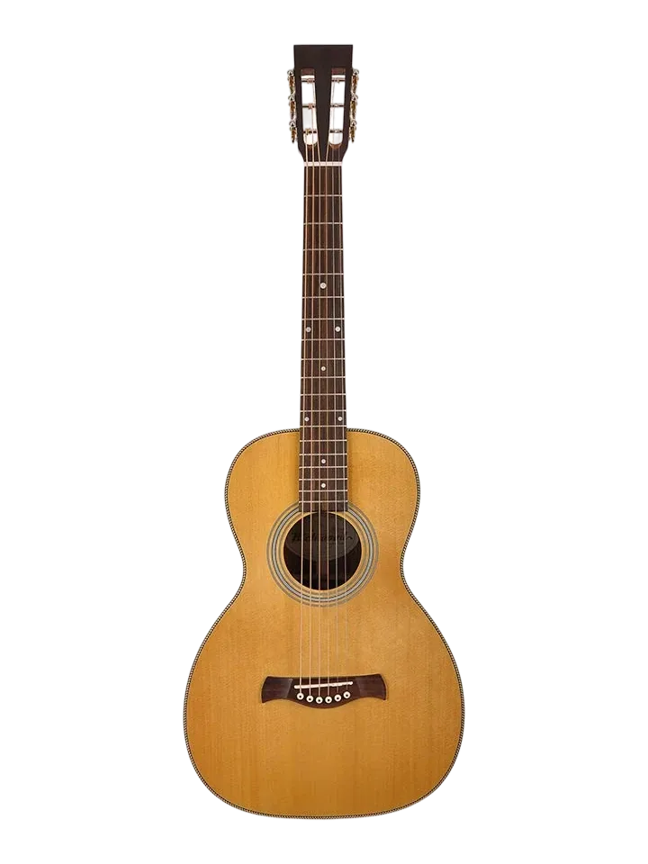 Photo of the Richwood P-65-VA folk guitar