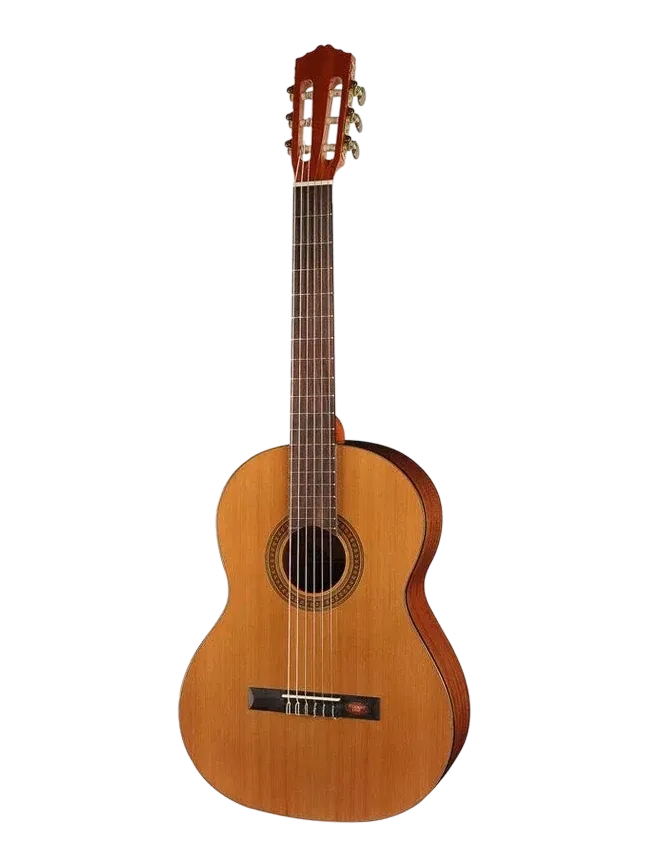 Photo of the Salvador Cortez CC-10-SN 7/8 classical guitar