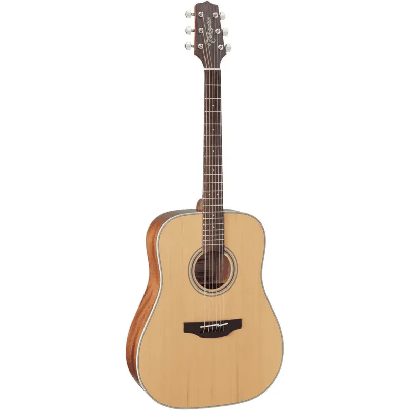 Photo of the Takamine G20 dreadnought GD20NS folk guitar