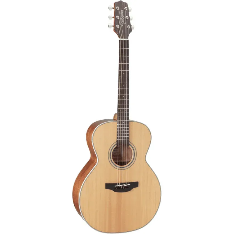 Photo of the Takamine G20 auditorium GN20NS folk guitar