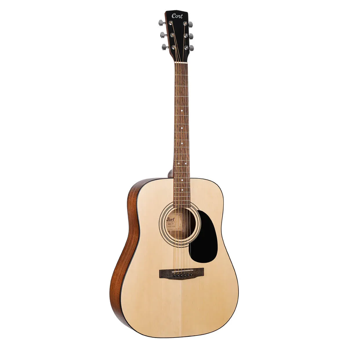 Cort Standard 810 (AD810, Open Pore)