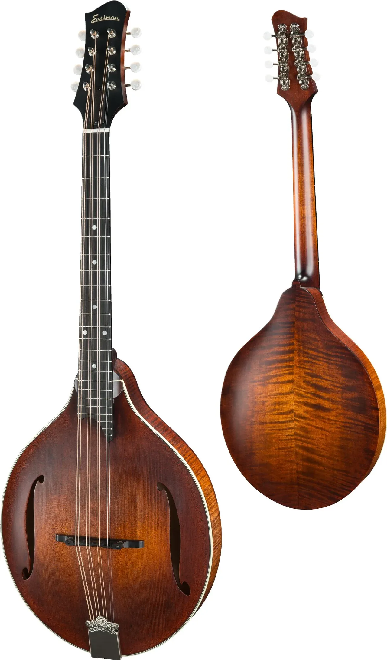 Eastman MDO305