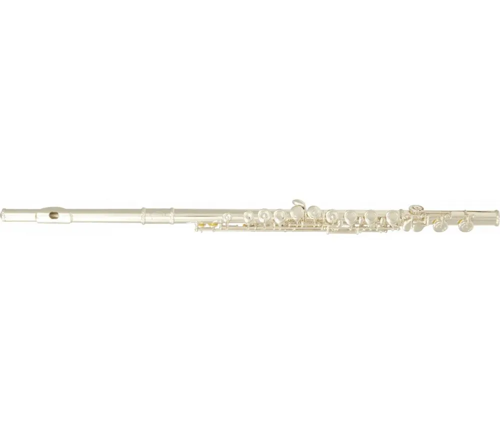 SML Paris VSM FL300E