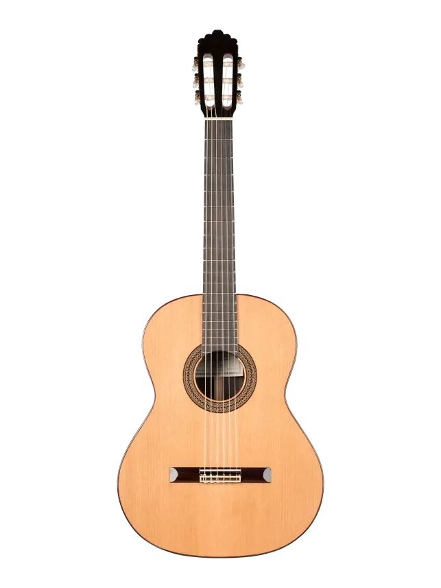Prodipe Soloist 500 4/4, cèdre massif / palissandre